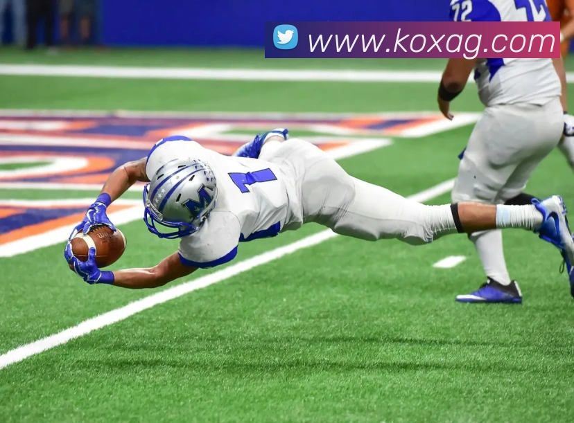 ag官网APP 封面图